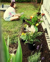 High angle view of woman holding flowering plants in yard