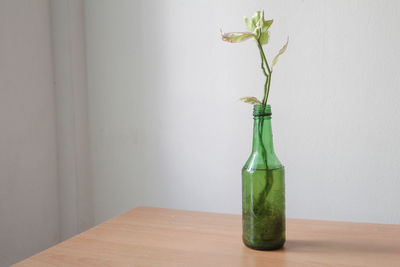 Close-up of vase on table