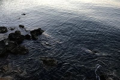 High angle view of rocks in sea