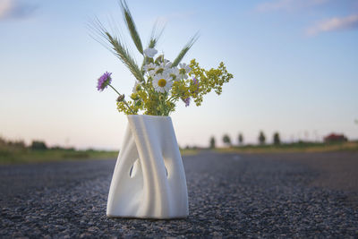 Close-up of white flower on plant against sky