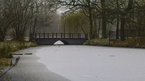 Bridge over canal amidst trees during winter