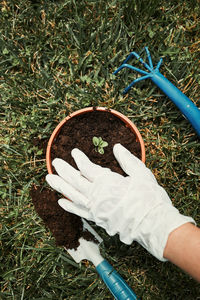 High angle view of human hand on field