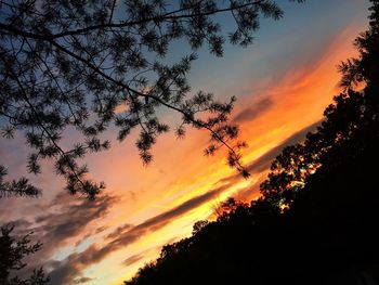 Low angle view of silhouette trees against dramatic sky