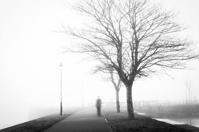 Person walking on walkway by bare tree in foggy weather