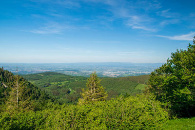 View from the puy-des-goules volcano hiking trail