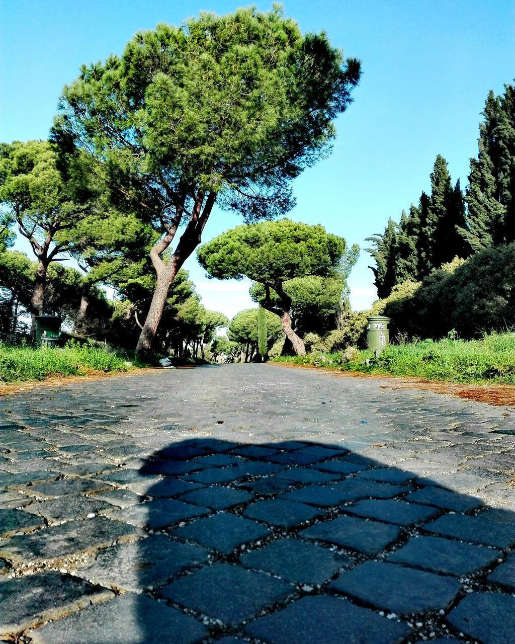 FOOTPATH AMIDST TREES AGAINST SKY