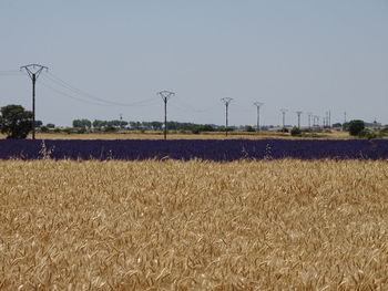 View of rural landscape
