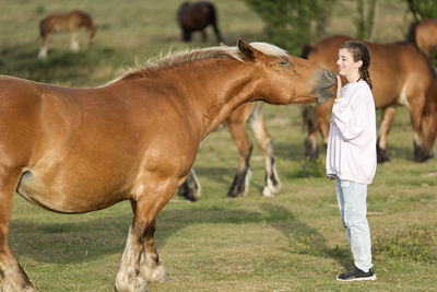 Horse standing on field