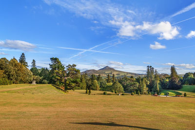 Trees on field against sky