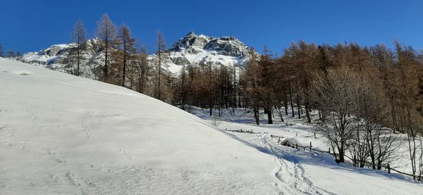 Trees on snow covered field against sky