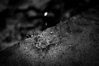 Close-up of water drops on white background