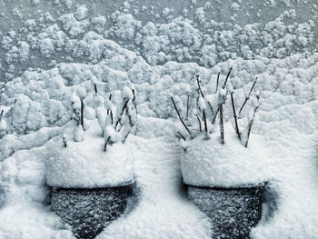 Close-up of snow covered land