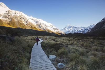 Rear view of person walking on pathway