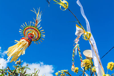 Low angle view of colorful flowers against clear blue sky