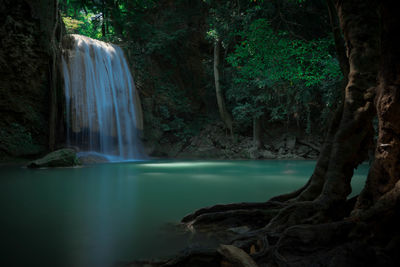 Scenic view of waterfall in forest