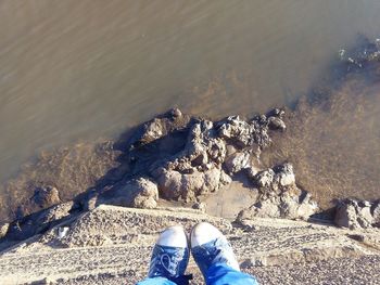 Low section of person standing in water