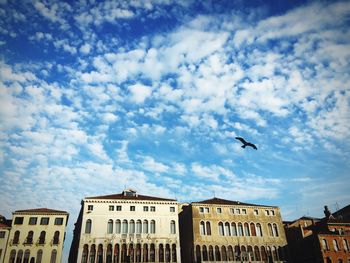 Low angle view of bird flying against sky