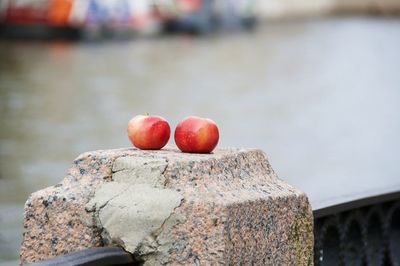 Close-up of red fruit on a stone post