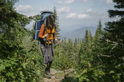 Rear view of person amidst plants in forest