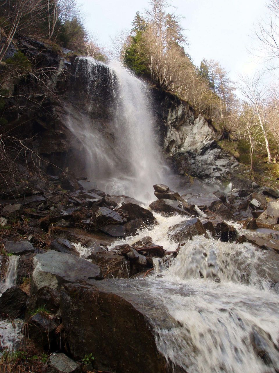 WATERFALL IN FOREST