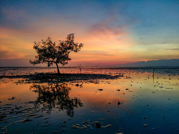 Scenic view of sea against orange sky