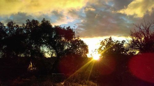 Silhouette trees against sky during sunset