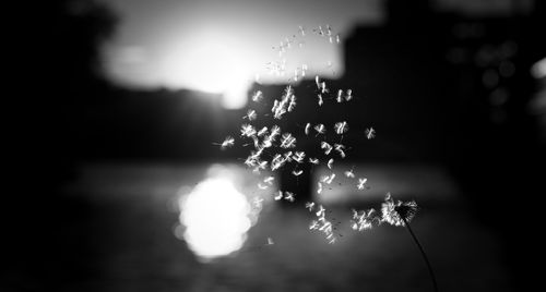 Close-up of illuminated water against sky at night