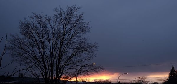 Low angle view of bare tree against sky at dusk