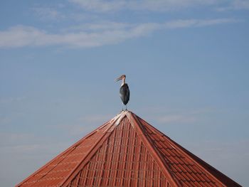 Low angle view of bird perching on roof against sky