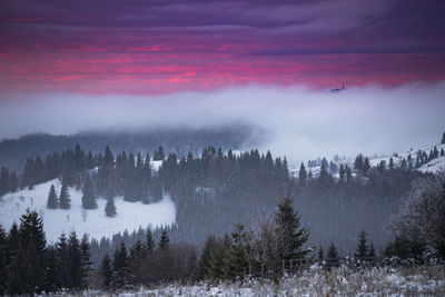 Panoramic view of trees on snow covered landscape against sky