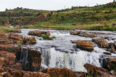 Scenic view of waterfall in forest