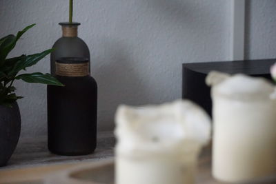 Close-up of potted plant on table at home