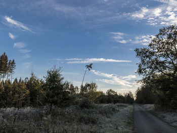 Road amidst trees on field against sky