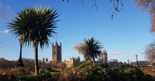 Palm trees and buildings against sky