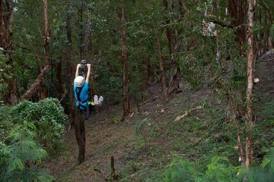 Woman in forest
