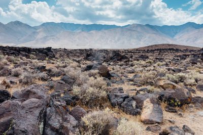 Scenic view of landscape and mountains against sky