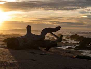Scenic view of sea at sunset