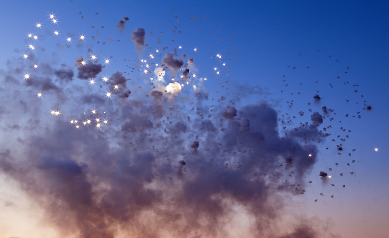 FLOCK OF BIRDS FLYING AGAINST SKY