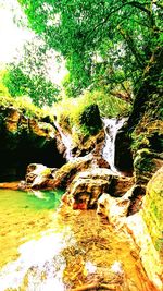 Close-up of water flowing in forest