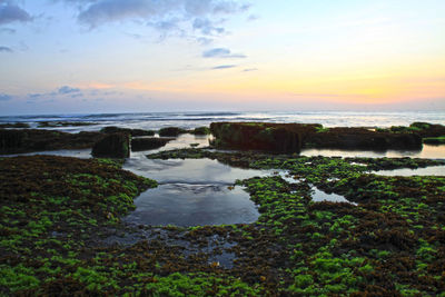 Scenic view of sea against sky during sunset