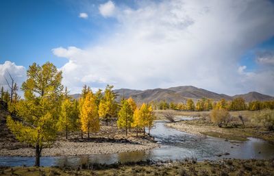 Scenic view of lake by trees against sky