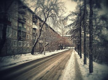 Road passing through bare trees