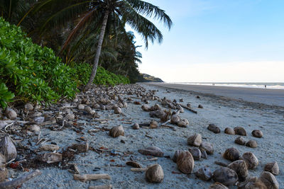 Surface level of rocks on beach against sky