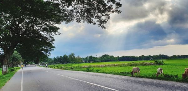 Scenic view of road amidst field against sky