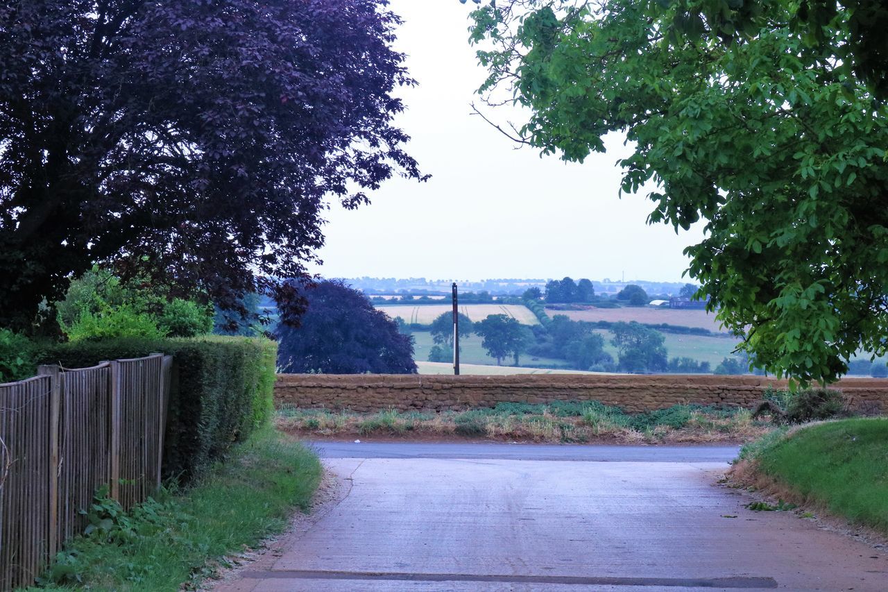 EMPTY ROAD BY TREES AGAINST SKY