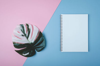 High angle view of pink flower on table