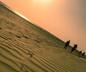 Scenic view of beach against sky during sunset