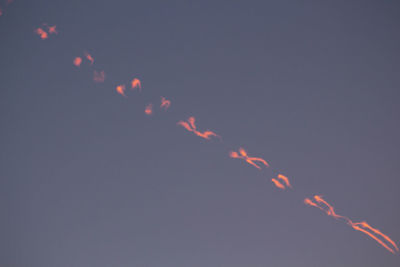 Low angle view of illuminated orange sky at night