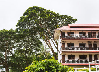 Low angle view of tree and building against sky