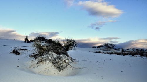 Scenic view of snow covered land against sky